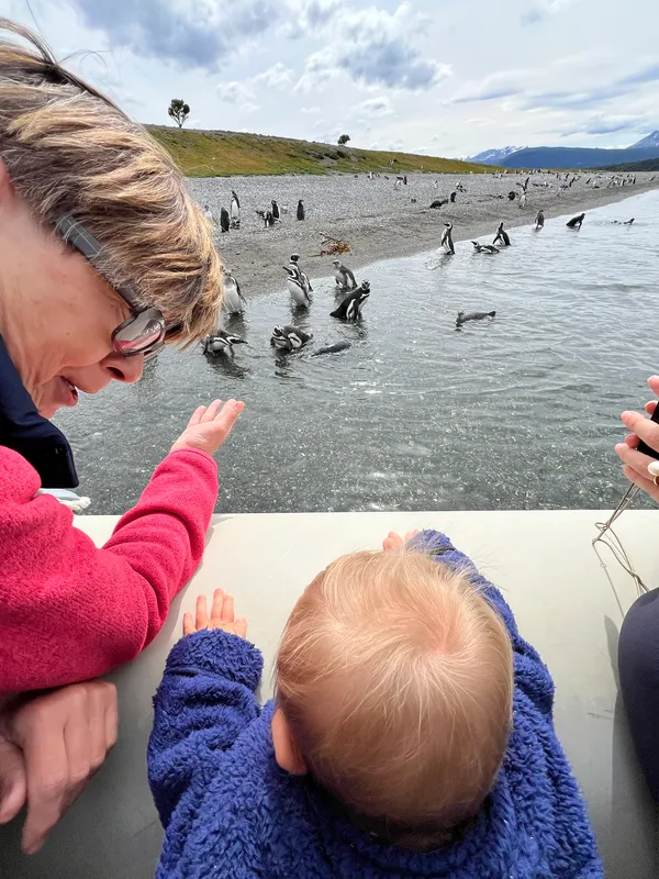 Andres farm with penguins and local lifestyle, Tierra del Fuego