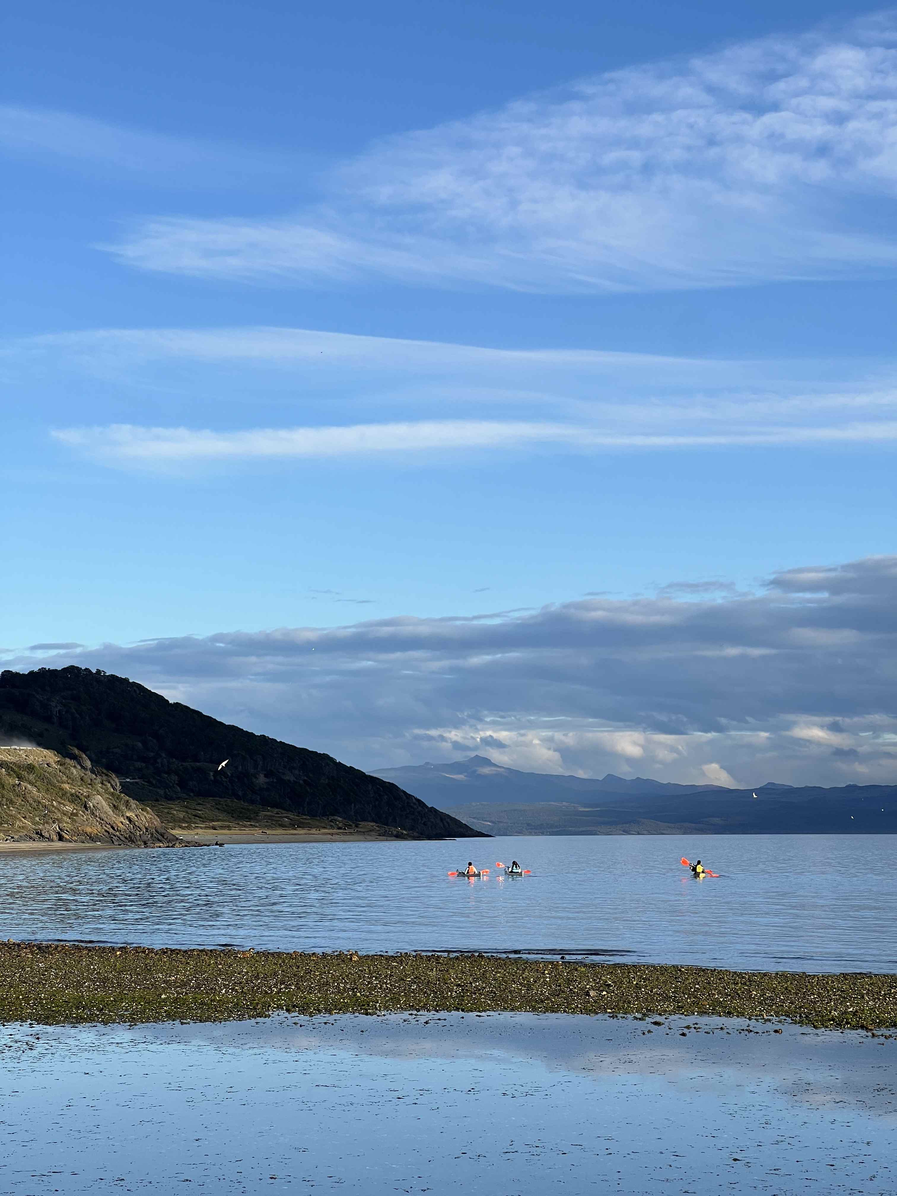 Kayakers paddling together in Beagle Channel waters