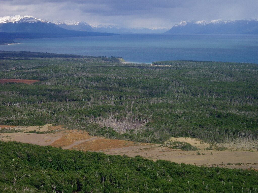 Субантарктический лес Огненной Земли с Lago Fagnano и горным хребтом