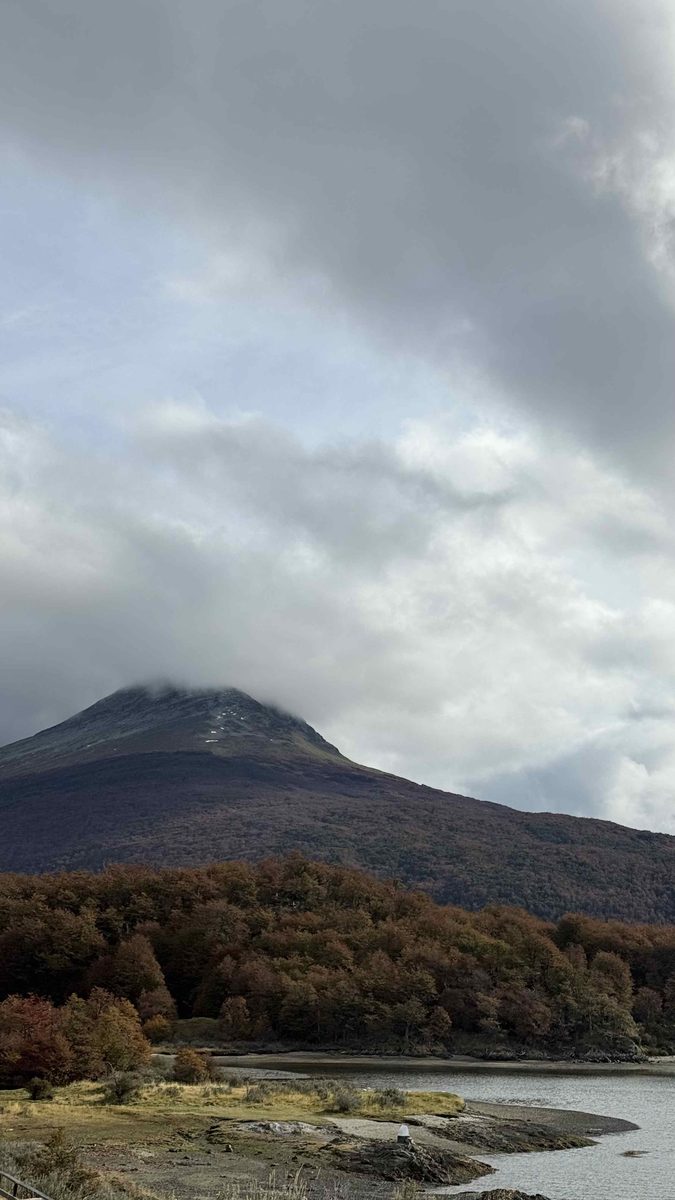 Осенний красный лес ленга у горного озера в нацпарке Tierra del Fuego