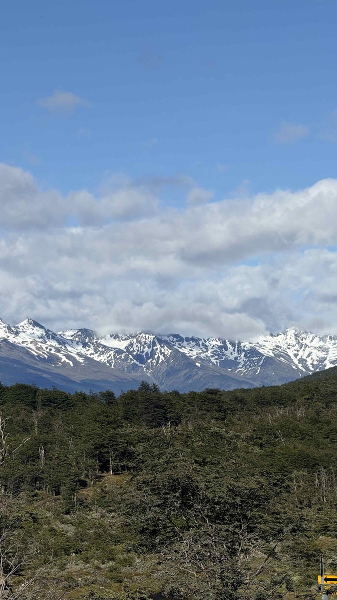 Заснеженный хребет Анд над субантарктическим лесом в парке Tierra del Fuego